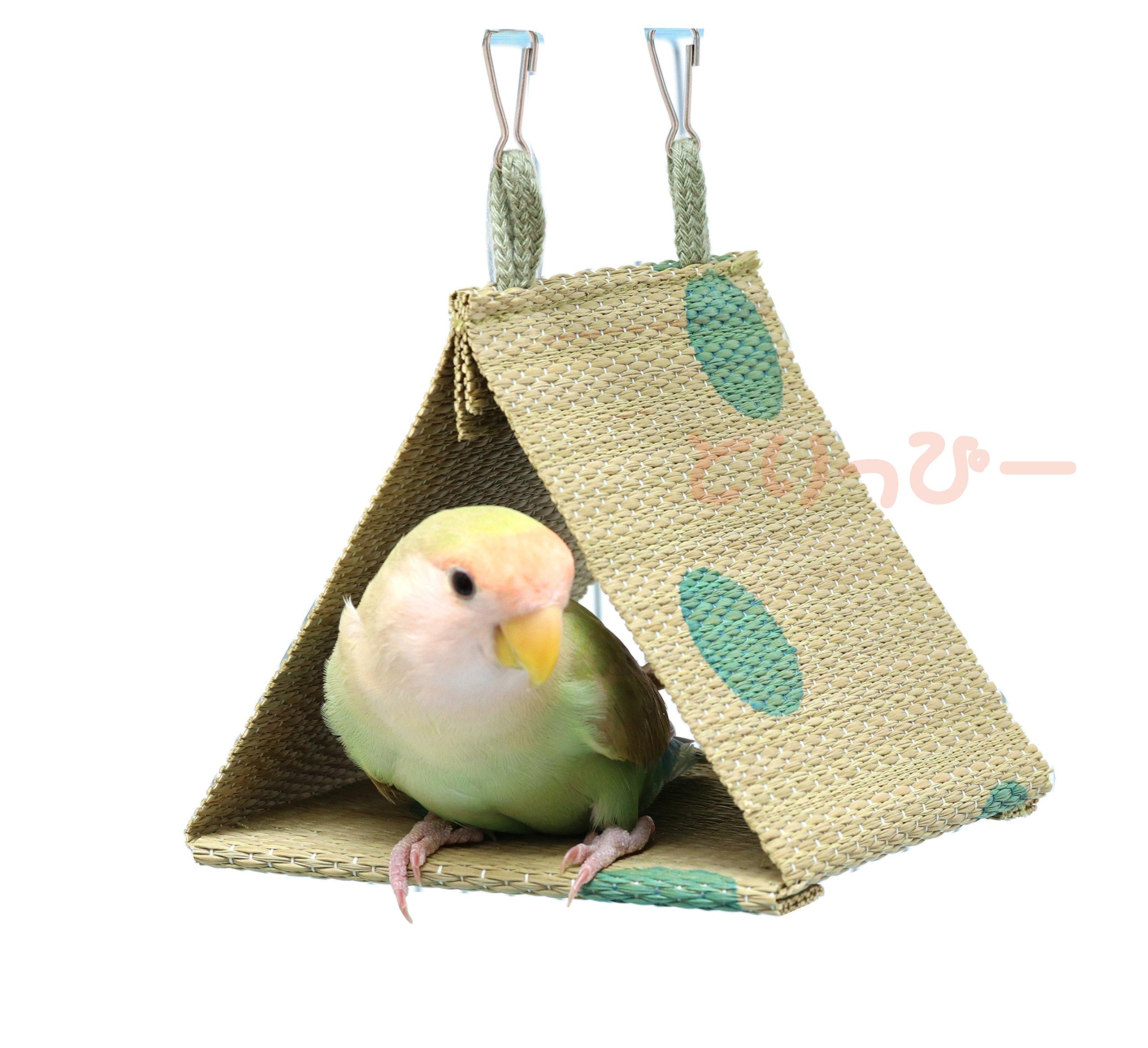 

P2 Associates Rush Tent for Small Birds S Green &