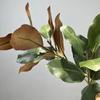 Large Artificial Magnolia Plant Rubber Leaves 2 Forks Simulated Magnolia Tree Branch Handmade 110cm Artificial Plants Home