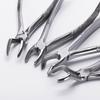 10pcs  Adults Stainless Steel Dental Extraction Forceps Pliers Kit Dental Surgical Tooth Extraction Forcep Pliers Kit