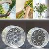 Spiral Ikebana Stem Holder Sturdy Clear Flower Arrangement Holder DIY Floral Art Accessory Table Centerpiece for Party Wedding