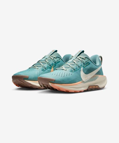 Nike Pegasus Trail 5 W DV3865-010 [Shipped from Korea] 100% Authentic
