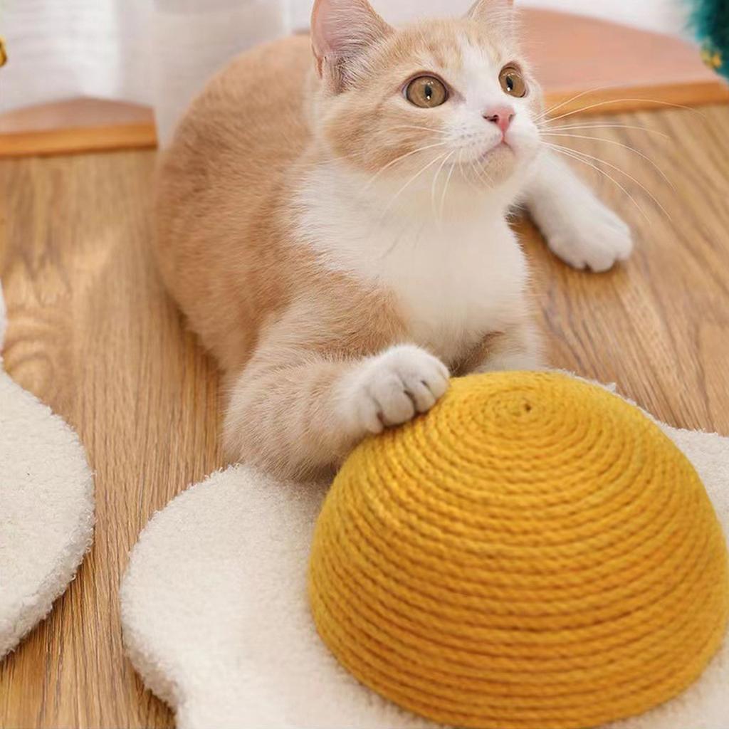 Cat Educational Toys Interactive For Indoor Cat Tease Box With Squeaker Toys And Scratching, Track Ball Toys For Cat Physical Exercise