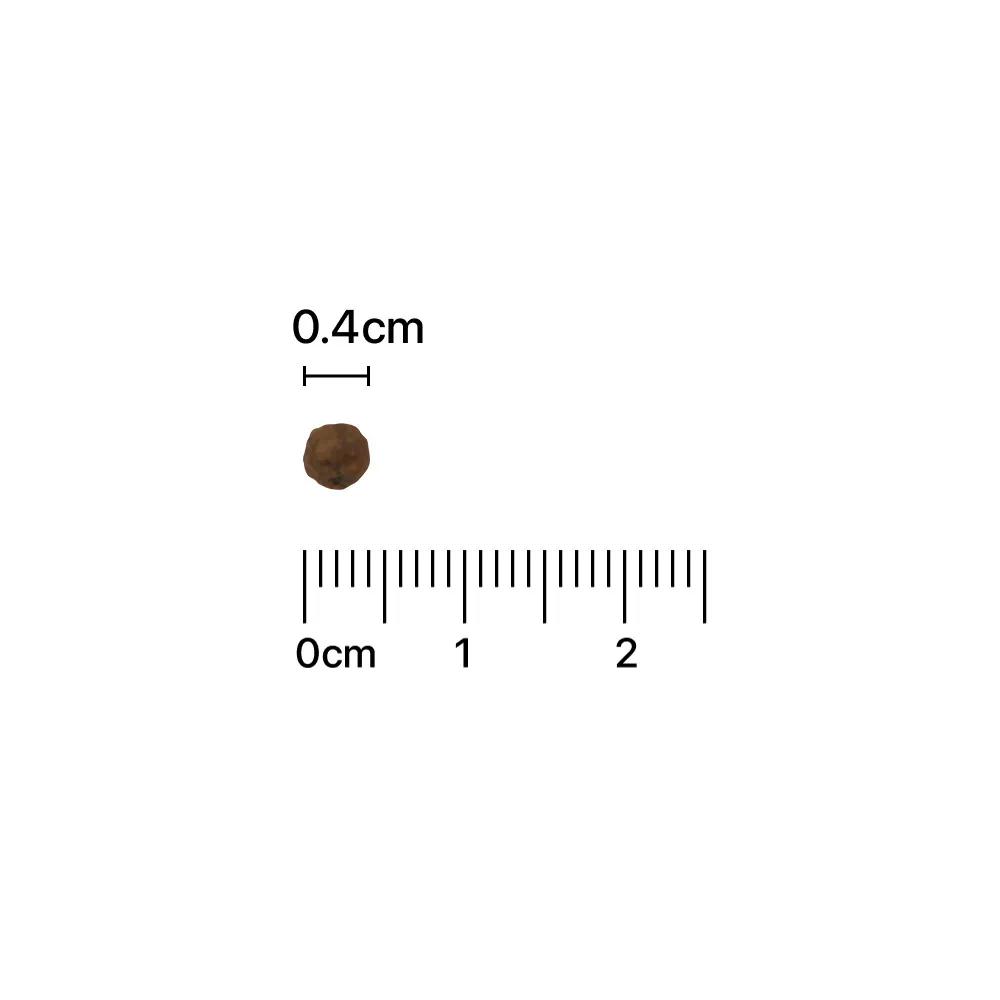 YOUNG LONG MoN MultiBalance for Men 30 Sticks (1-month Supply)