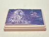 Kamitake "Mt. Oyama (Spring) 1/50,000 scale" (kit)