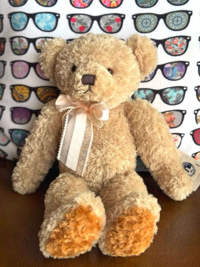 

[USED] Teddy Bear Plush Toy Mocopalchi