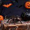 Halloween Spinnenfigur Saisonale Szenenrequisite Halloween Spinnenstatue Gusseisen für Kaminsims Fensterbank Spukhaus Schreibtisch Regal