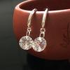 South Korea Dongdaemun S925 Silver Zircon Earrings – Cute, Best-Selling Accessories for Women