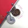 Shell Pendant With Polished Shell Beads For Style Jewelry