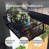 2Hook Iron Hanging Flower Rack, European Design Sill Flora Holder Holder, Waterproof &
