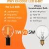Outdoor String Lights, G40 Global LED Garden Lights,10LED/20LED Edison Vintage Bulbs To Connect To Patio Porch Bistro Outdoor De