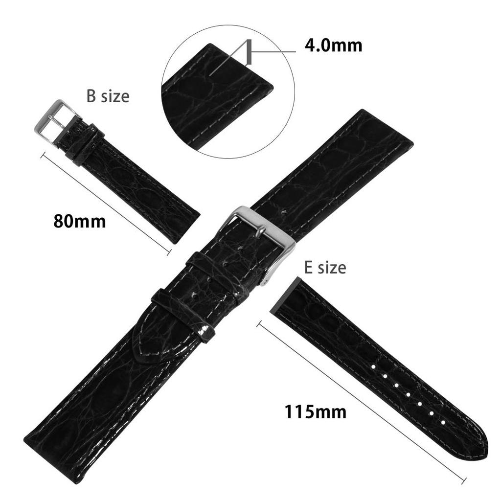 CASSIS Caiman Watch Strap for with Replacement U1097052019020 (Crocodile) HEIDENHEIM, 20mm, Black, Tool,