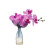 Cloth Simulation Phalaenopsis Vivid Fake Butterfly Orchid Artificial Moth Orchids  Living Room