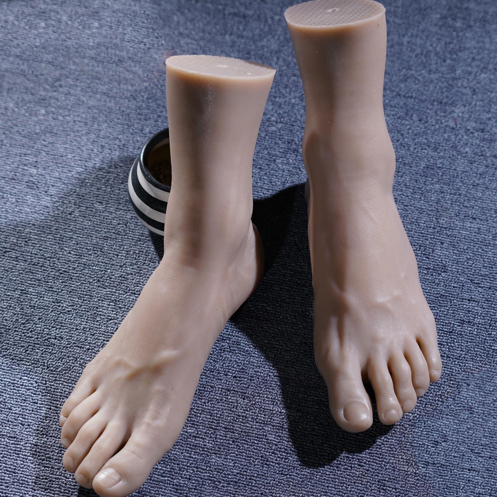 Anatomical Foot Replica Size 44 Shoe Display Foot Model Suitable for Education Artistic Anatomy Study Shoe Photography