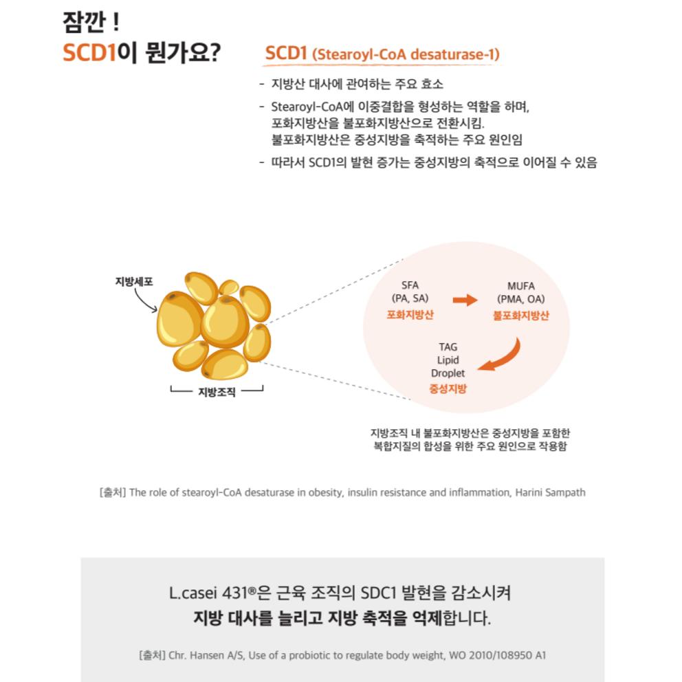 WegoIntegratore Alimentare Completo per Sazietà e Perdita di Peso, 28 Compresse