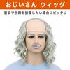 Felimoa Grandpa Bald Wig, Costume Wig for Parties and Events, Includes Eyebrows and Beard (Silver)
