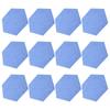 12 Stück Schallabsorptionsplatte Hexagonal Kleber Akustikpaneele Keile Wand Schallschutzkabine Blau