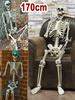 Halloween Horror Skeleton Statue Movable/Posable Joints Decorative Skull Sculpture Full Size for Yard Garden Patio Haunted House