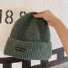 Couple Autumn and Winter Warm Knitted Hat Street Style Patch Wool Hat Women Korean Style Ins Versatile Autumn Ear Protection Hat