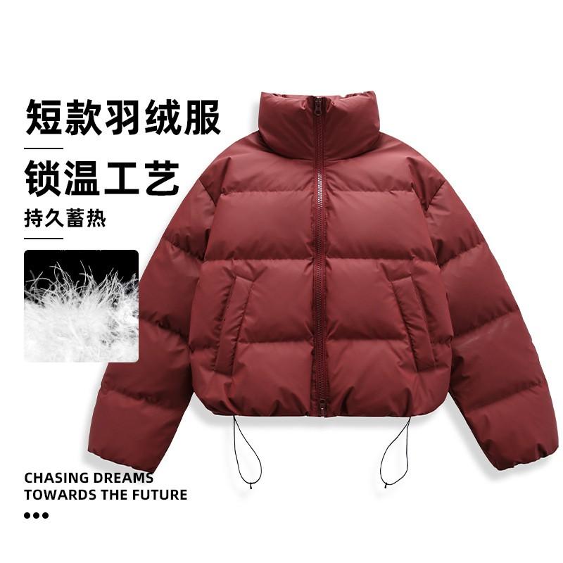 Mens Winter Down Jacket Stand Collar Warm Puffer Coat 90% White Duck Loose Fit Short Length Cold Weather