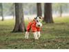Medium & Small Dog Raincoat with Leash Hole - Waterproof & Reflective Puppy Jacket
