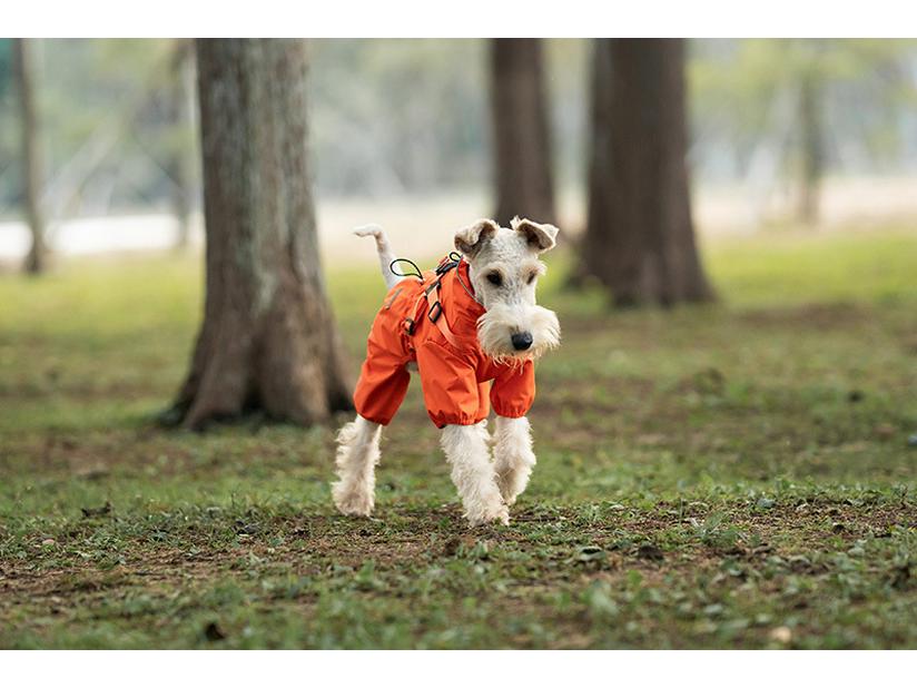 Medium & Small Dog Raincoat with Leash Hole - Waterproof & Reflective Puppy Jacket