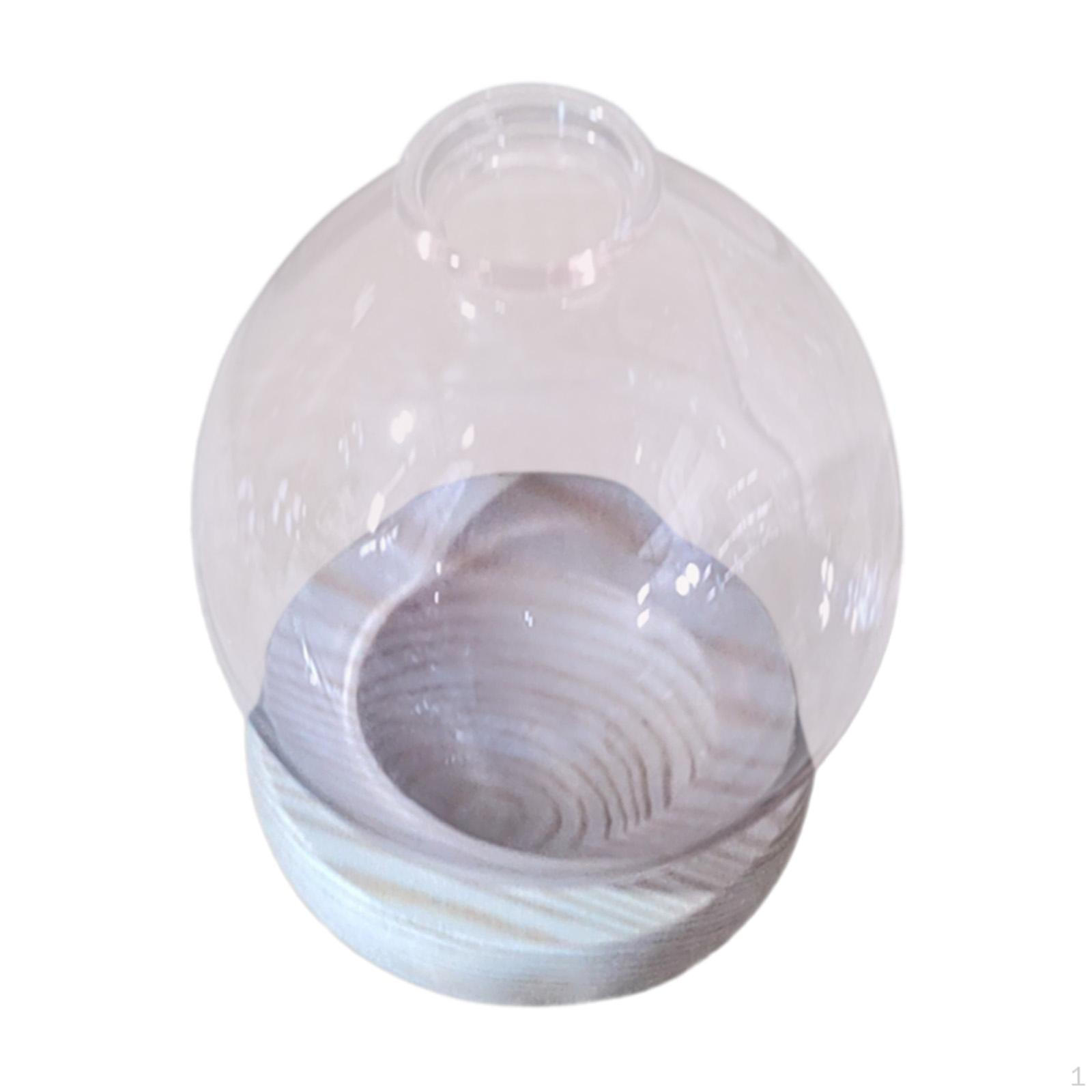 

Гидропонный горшок для растений, ваза для почек, домашний стол, цветочный горшок, настольный стеклянный горшок для розовый