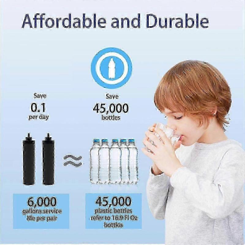 4Pack BB9-2 Replacement Filters, Activated Carbon for Gravity-Fed Water System
