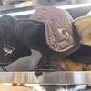 2024 Warm Winter Ear Protection Hat: Unisex, Cycling Cold Protection, Double-Sided, Fashionable & Versatile Lei Feng Hat