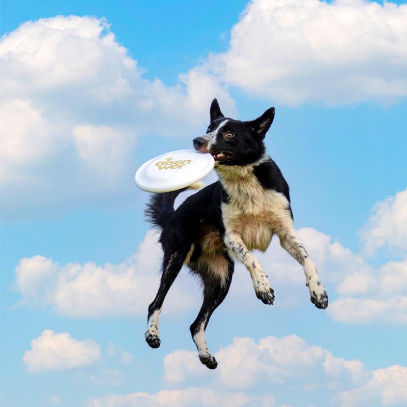 Eisenwell Competition-Standard Pet Frisbee: 235mm Dog Training Disc, 240mm Pro Disc.