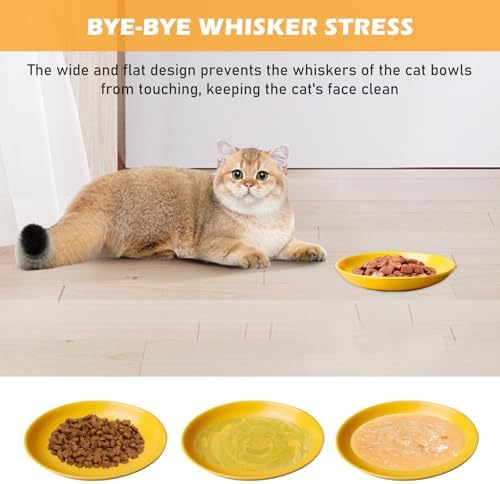 Cat Bowls Set of 6 Ceramic Cat Dishes Colorful Shallow Cat Food Bowl Whisker Fatigue Relief for Kittens Short-Legged Cats 15×15×3cm