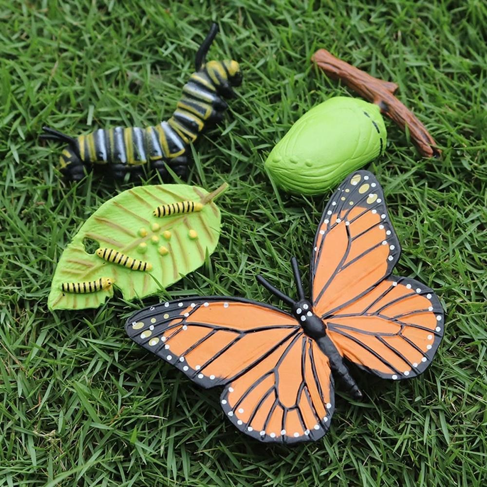 Butterfly Growth Cycle Action Figures Growth Cycle Model Life Cycle Figurine Simulation Animals