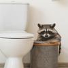 Cute Raccoon Baby Toilet Sticker Bathroom Toilet Cover Sticker Wall Stickers For Home Decoration