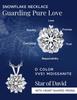 Snowflake Necklace Carat Moissanite Necklace 925 Silver Necklace Gift Popular Brand Birthday Anniversary Present 40cm Pendant Delicate Gift Box