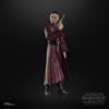 Hasbro Star Wars STAR WARS Black Series Star The Phantom Menace Collection 15 cm Action For ages 4 and up G0025 Genuine Product Padmé Amidala, Wars