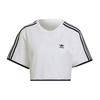The Baddie Edit Top Women's White (Unisex) Crop Tops HE4676