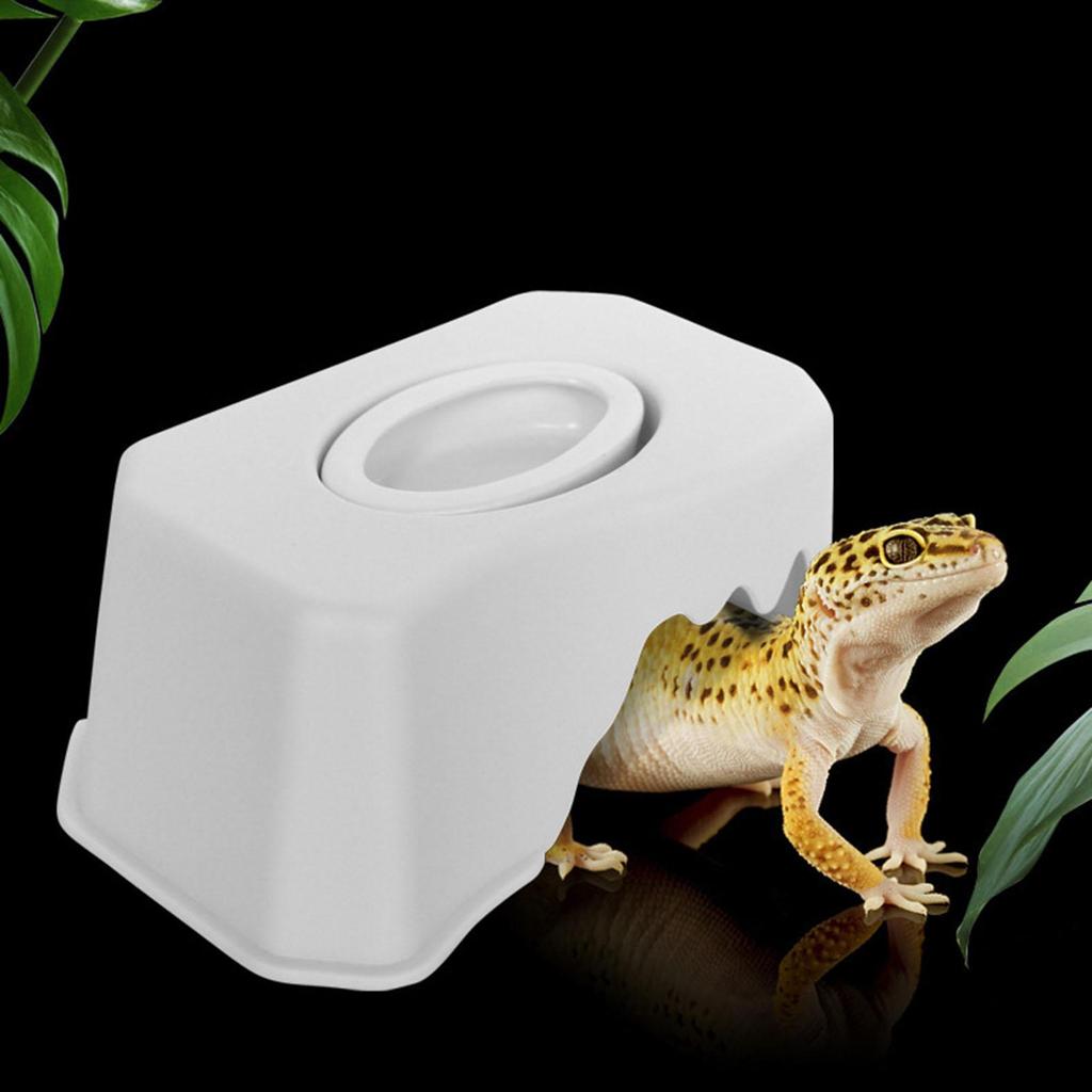 for Reptiles, Easy to Clean, Landscaping, Cave Snakes, Bearded Dragons, Turtles,
