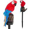 Solar Parrot Lamp Stake Garden Lamp Led Parrot Solar With Spike