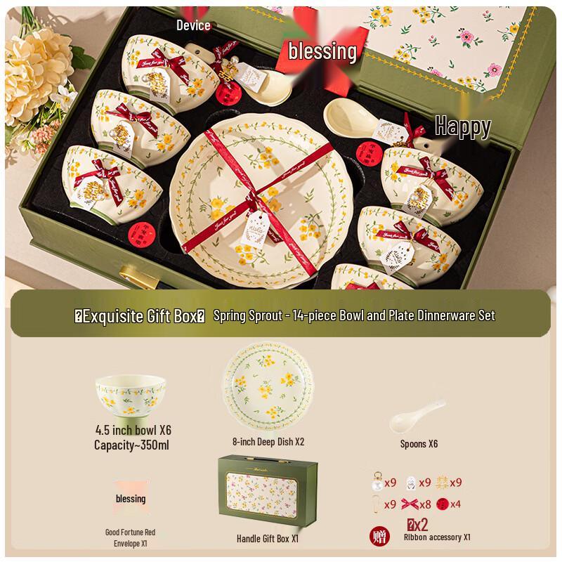 European Bone China 14-Piece Dinnerware Gift Set