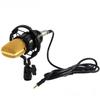 BM700 Large Diaphragm Condenser Microphone with External Sound Card for Computer Recording and MC Hosting