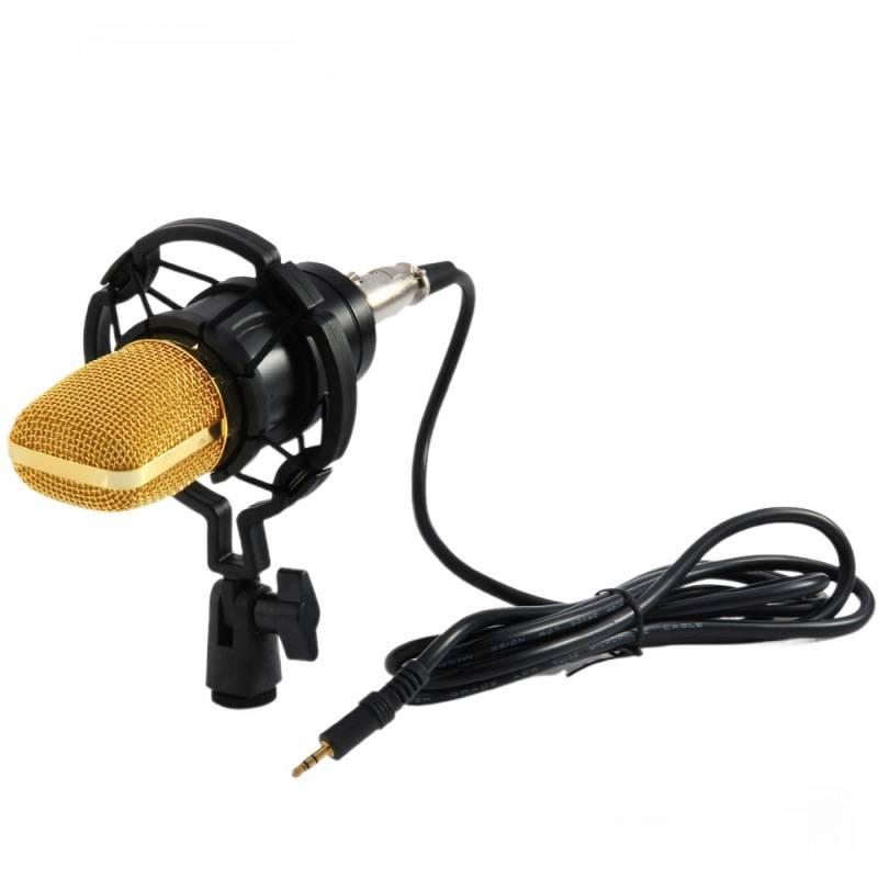 BM700 Large Diaphragm Condenser Microphone with External Sound Card for Computer Recording and MC Hosting
