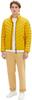Winter Jacket Tom Tailor Lightweight Jacke (1036073) Symphonic Sunny Yellow