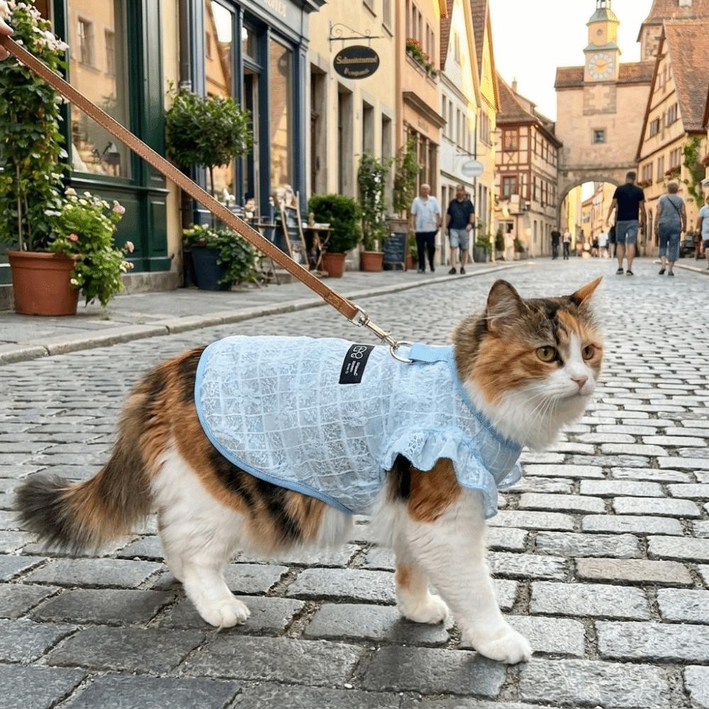 Thin Breathable Pet Cooling Vest Airy Fabric Summer Dog Clothes Pet Cooling Use