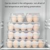 Egg Holder Plastic Egg Storage Box Egg Organizer Refrigerator Portable Egg Tray Cover Refrigerator Camping Hike Outdoor