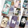 Maltese Dog Puppy For OPPO A53S A57S A54 A74 A94 A17 A77 A58 A78 A98 A5 A9 A96 A76 A16 A52 A72 A79 A15 Case