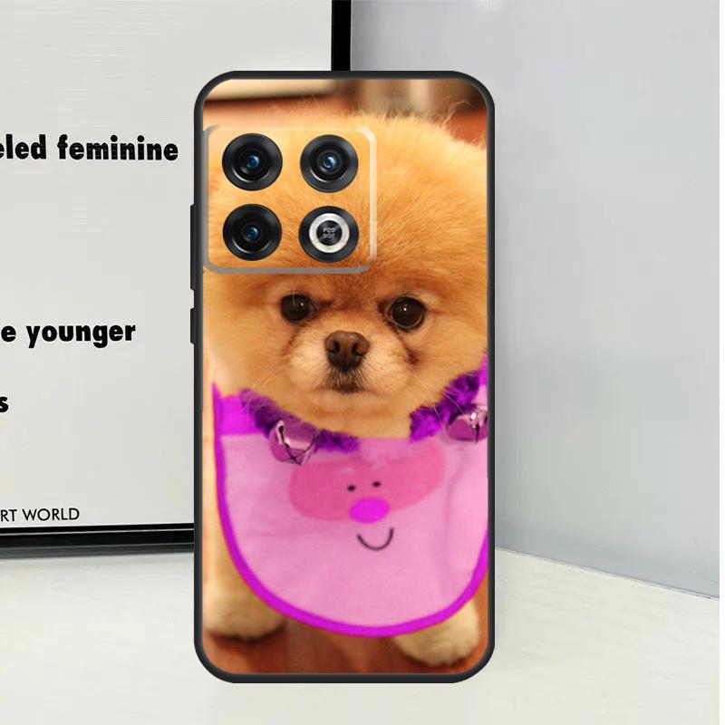 Pomeranian Dogs Dog Colorful For OnePlus Nord CE 5 2 3 4 Lite N20 N30 Case For OnePlus 15 13 12 11 10 Pro 10T 12R 13R 13T