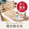 Denkyosha Zepeel Electric Blanket Champagne DM-Y10FSM-CN