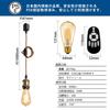 LVWIT Pendant Light, E26 Base, with LED Bulb, Dimmable, Color Adjustable, 6W Power Consumption, Remote Control, for Wired Duct Rails, Ceiling Light,