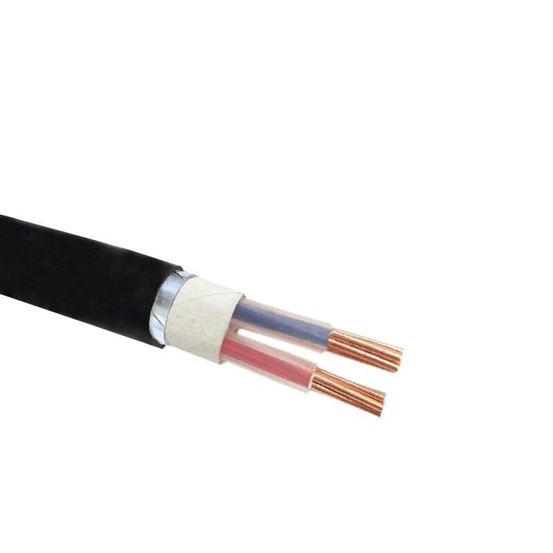 

Qinbaote YJV22 2-Core 16mm² Armored Direct Burial Power Cable