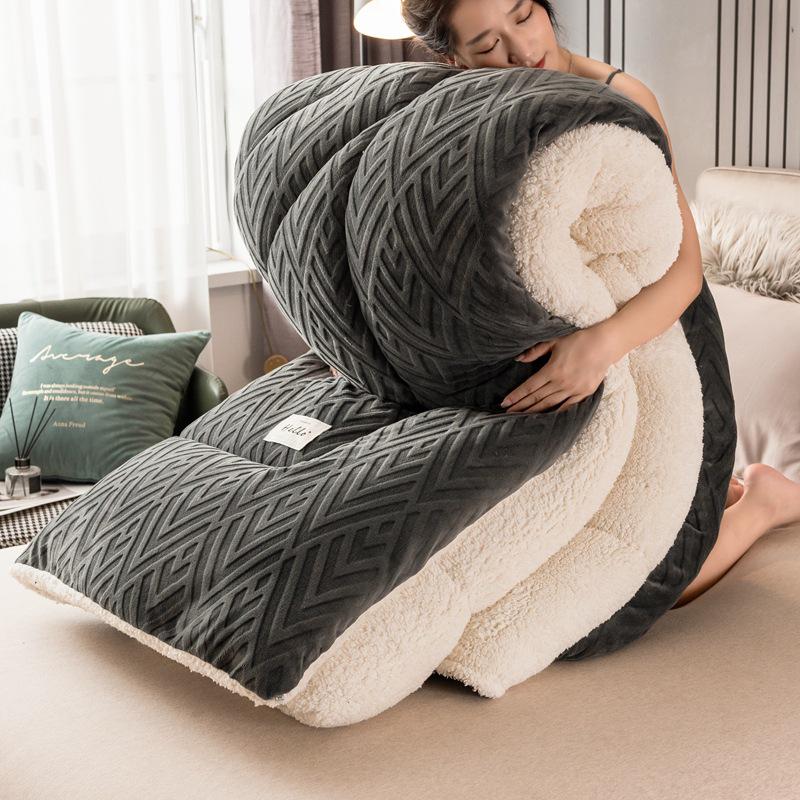 Thickened Lambswool Cotton Quilt - Warm, Double-Sided for Single Dormitory, Ideal for Winter, Spring, and Autumn