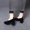 Women's Shoes Early Spring New Casual Round Head Thick Heel Black Sheepskin Thin One-pedal Middle Heel Single Shoes